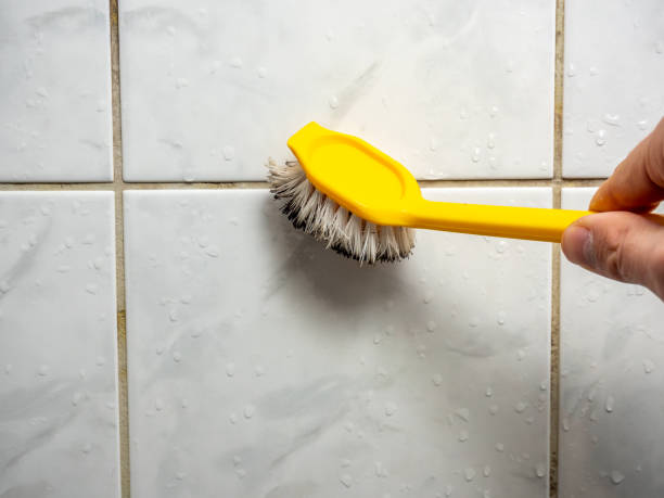 Best Commercial Mold Removal  in Kittery Point, ME